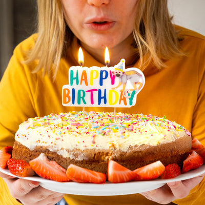 Safari Animals Birthday Candle | Kids Cake Candles |