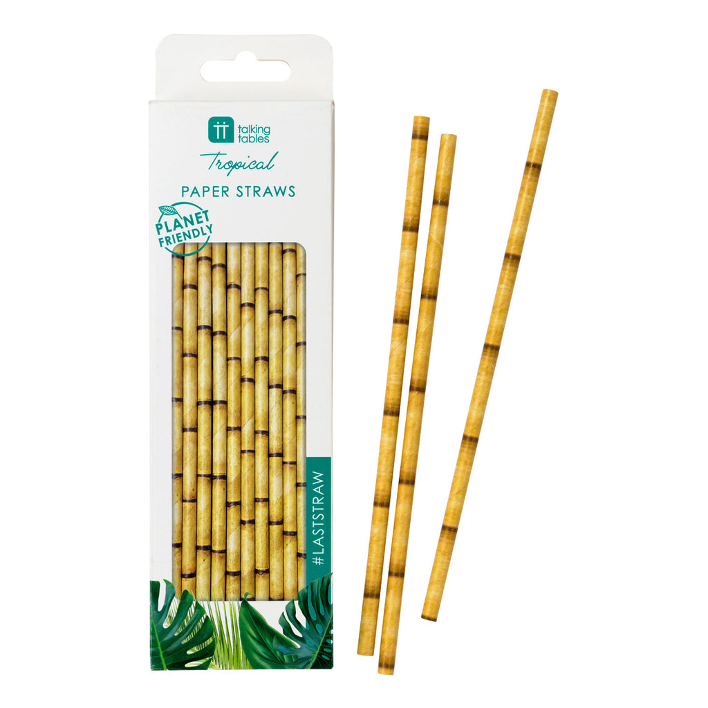 Fiesta Bamboo Paper Straws